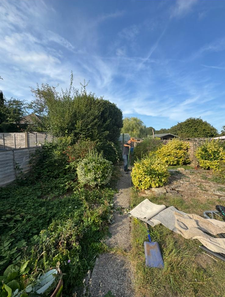 Before — garden clearance